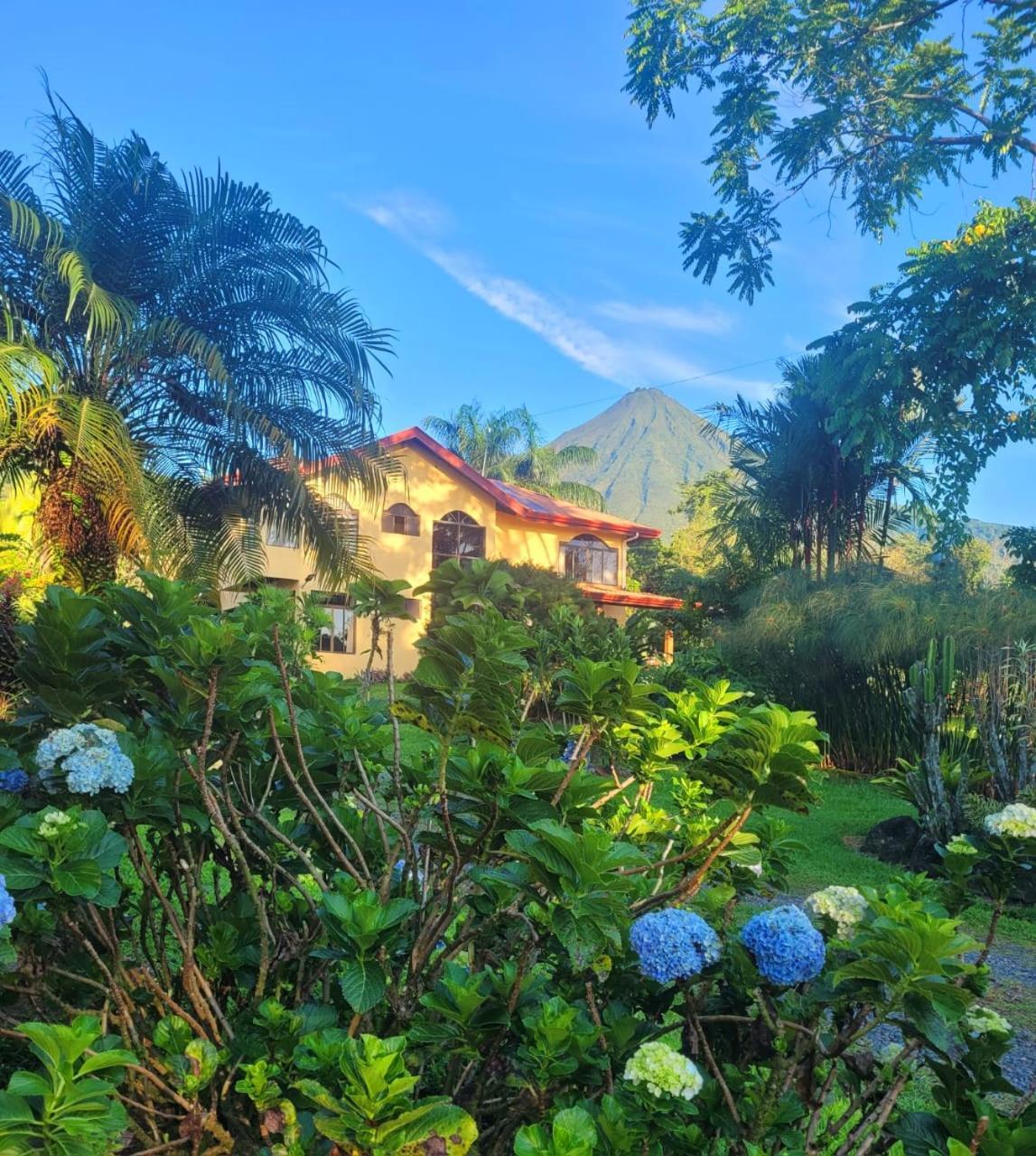 Yellow Tree Suites La Fortuna Exteriér fotografie